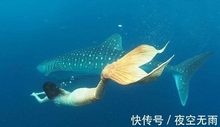 地宫!《史记》说秦始皇陵内,有人鱼膏点燃的长明灯,人鱼膏是什么?