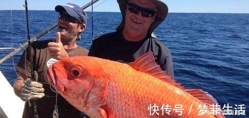 钓组|放长线沉底钓的装备和钓组结构，爱钓大鱼的你别错过