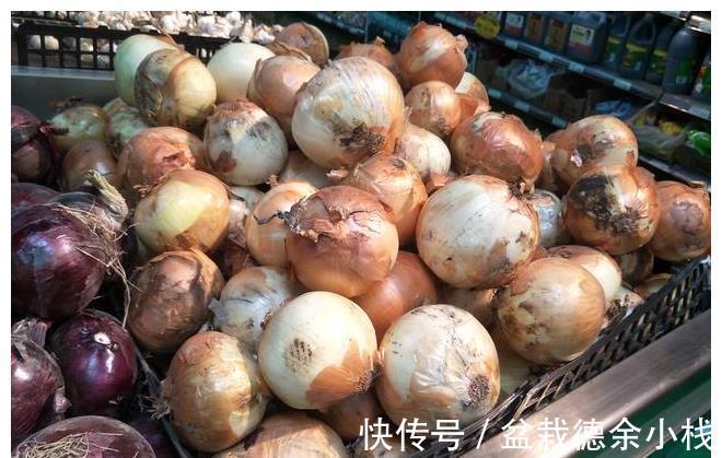 妙招|保存洋葱有妙招，学会1招，洋葱放1年不变坏，随时都新鲜