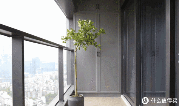 晾衣服|阳台只用来晾衣服？25个阳台设计方案，晾衣杆不装头顶，真爽！