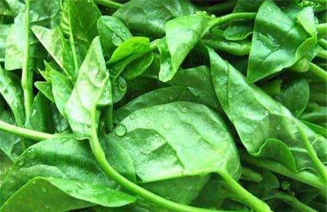 轻松|中伏天一定不要错过这个菜,降燥凉血消化好,吃完全身都轻松