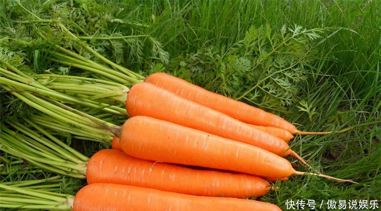 到了冬季天气凉，坚持食用三种食物，补益气血