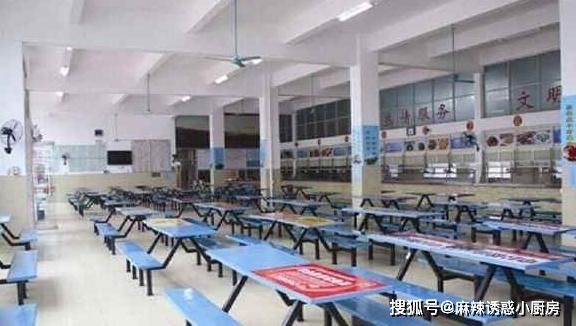 西红柿炒鸡蛋|食堂阿姨黄瓜整条烧，同学：还不如生吃，不会做饭就不要出来吓人