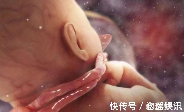 孕妈|8个月孕妈做产检,医生看到画面都笑了,孕妈出生看我不收拾你