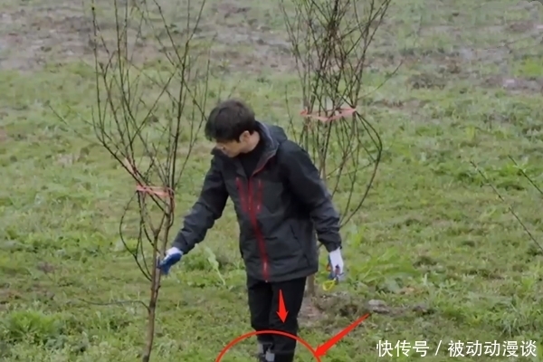 《向往》干活再遭质疑,前有挖藕后有种树,网友:哇偶,当我们瞎