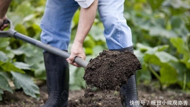 印度矿工挖到一颗钻石,价值46万,他要跟八个兄弟分享