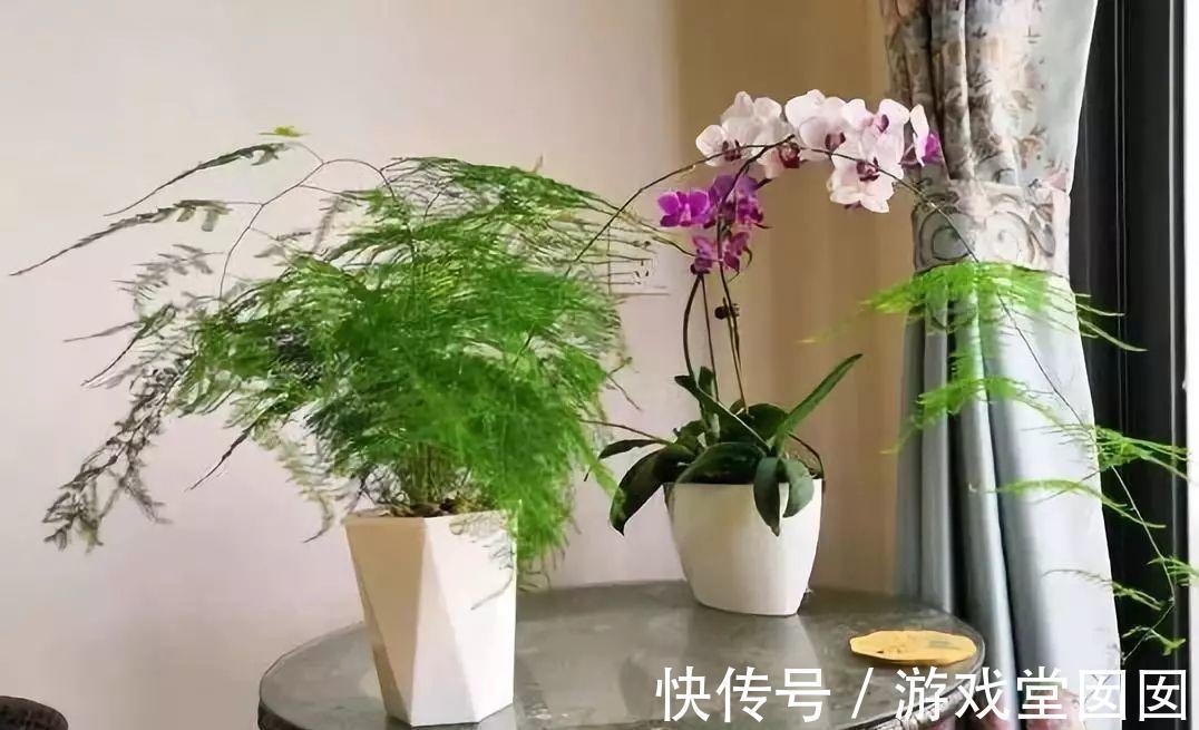 自来水|养花不会浇水吗?六大口诀记心间,养啥都能长得旺