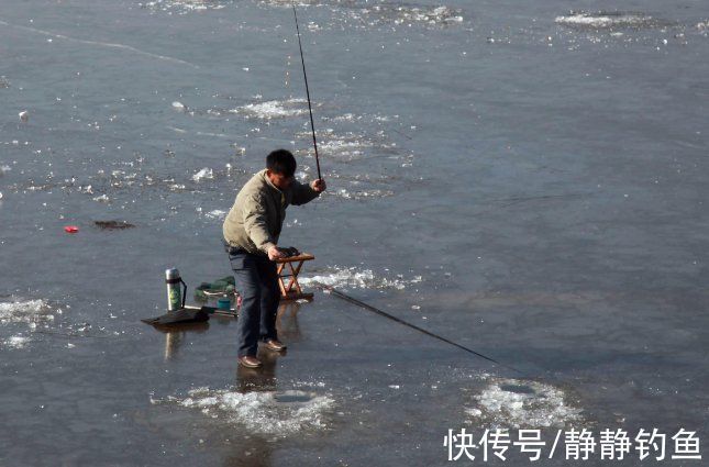 鲫鱼|浮钓鲫鱼的六种情形，多数人还不晓得，老司机倾囊相授，涨见识了