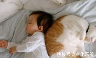 宠物|8岁男童生命垂危,胃里抽出一斤脓液,这些食物还敢给孩子吃吗