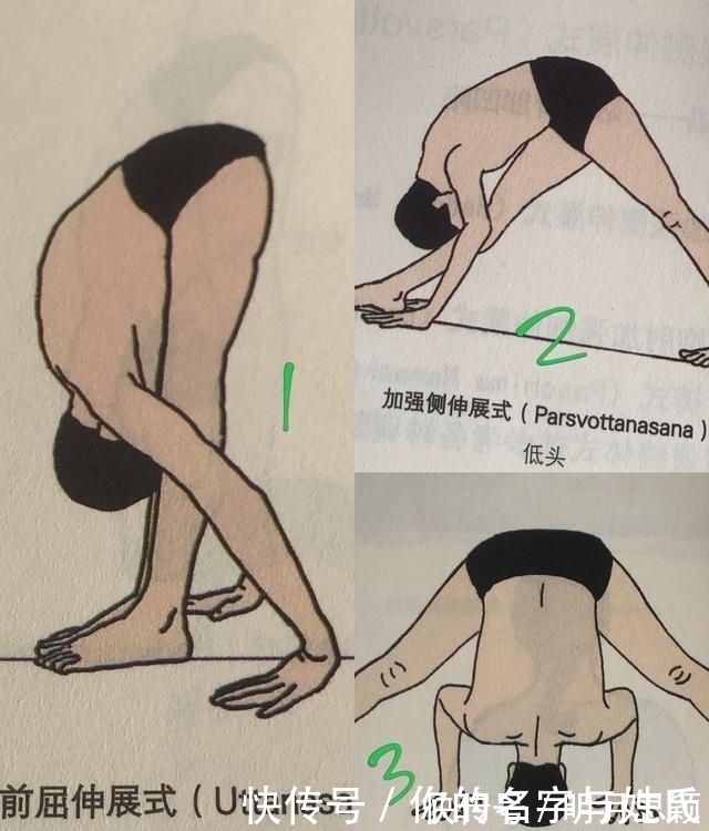 犁式|瑜伽零基础入门教程又来了！愿你每场练习都是做过，不是路过