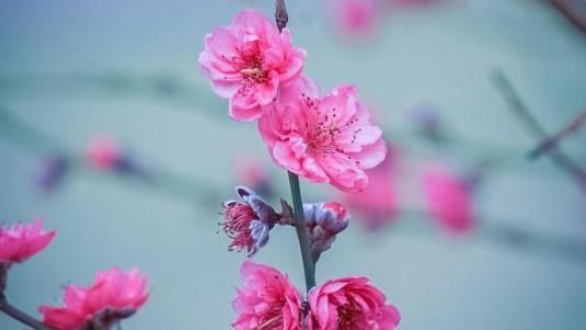 宋词之前最美的一首《蝶恋花》,意境美,韵味足,是词坛千古名篇