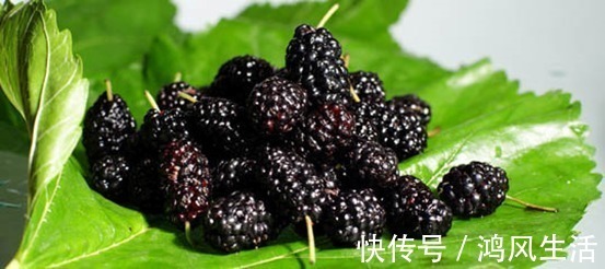 夫妻感情|张仲景留下的食方，让桑椹和它组成的“最佳拍档”，提升你的阳气