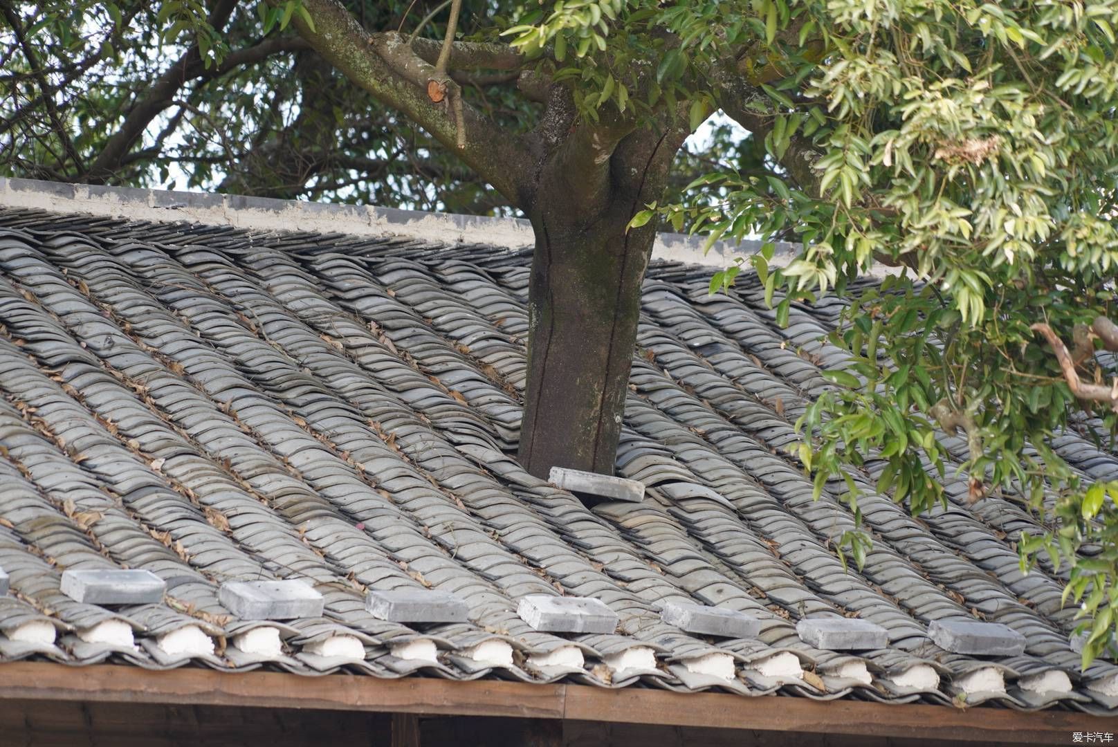 始兴有座无顶塔