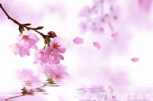 唐寅#唐伯虎最经典的五首诗词,不愧为江南四大才子之首!