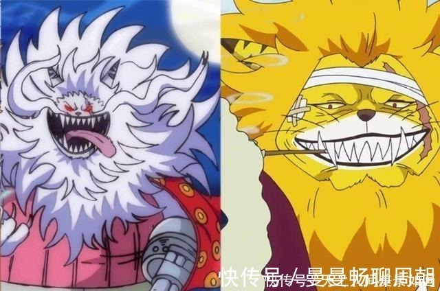 艾尼路|海贼王哪些角色变身前后“判若两人”犬岚公爵哈士奇变藏獒