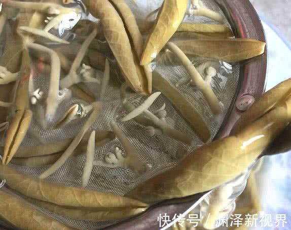 燕窝|燕窝都不如此物,胶原蛋白丰富,1周吃一次,“黄脸婆”拜拜