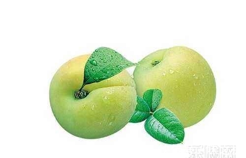 一叶|一花一世界，一叶一菩提——奇花异果青梅，花语文化赏花旅游