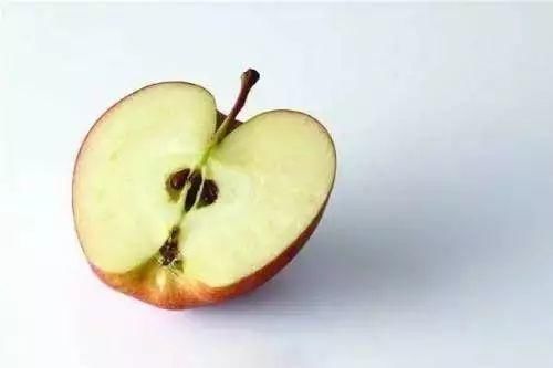 化学物质|茄子不能这样吃,否则后果很严重一定要告诉身边的朋友……