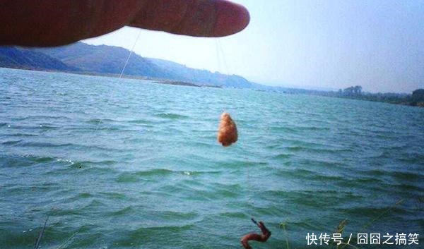 朋友钓到一条鱼,身上带花,口感嫩很香,就是不知道叫什么名字