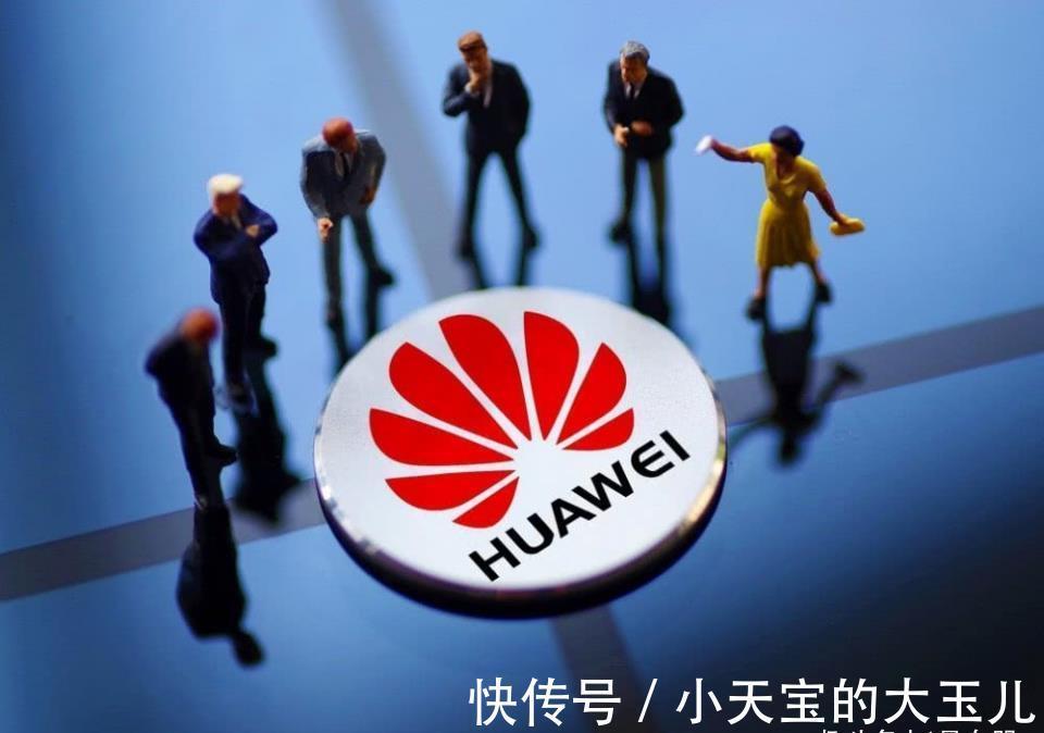 苏箐|那个说“特斯拉杀人”的华为高管,被免职了