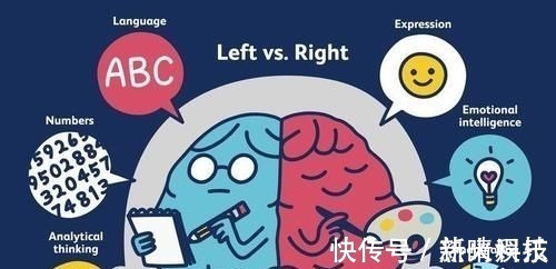 玩具|哈佛研究:孩子大脑发育最佳方法不是阅读,有一点被很多家长忽略