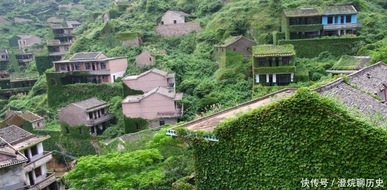 实拍浙江枸杞岛无人村：村民全部搬走成鬼村，墙上长满爬山虎如童话世界