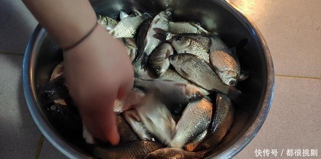 冬季这两种天气钓鱼,90%会空军,而这种天气钓鱼会爆护