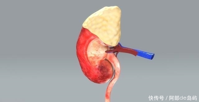 肾脏|肾好的人,晚上睡觉有4种表现,若你一样,恭喜你肾脏健康易长寿