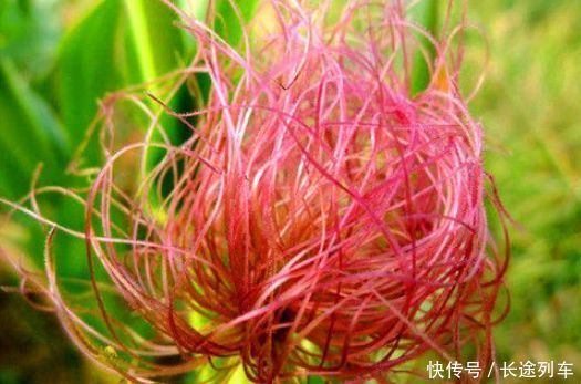 女人过40岁后，必吃的食物，滋润肌肤，促进代谢，看起来年轻十岁