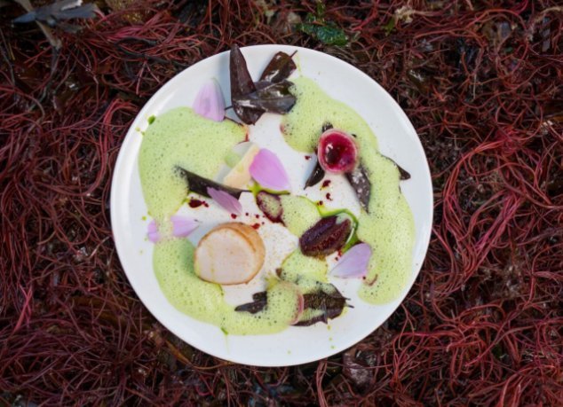 他曾是同学嘲笑的对象，却凭借开餐厅带动故乡经济