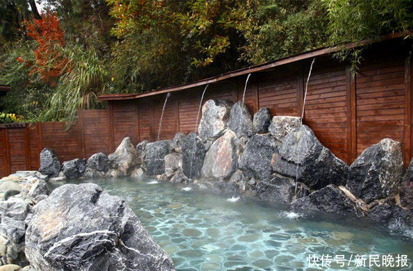 腊梅|石阡温泉多姿多彩