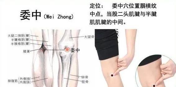  牢记全身疾病特效穴，专穴专用！