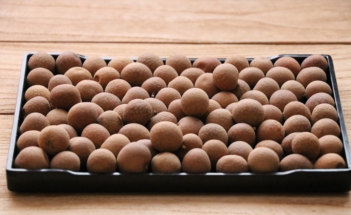 桂圆干|8月要常吃桂圆,教你正确吃法,好吃不上火,气色差的人多吃点