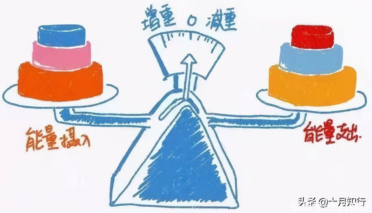 下降|为啥减肥速度总是先快后慢再反弹?如何避免,让自己平稳瘦下来?