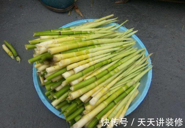 竹笋|竹笋能够降血压吗，常吃竹笋，能给身体带来什么好处，了解下