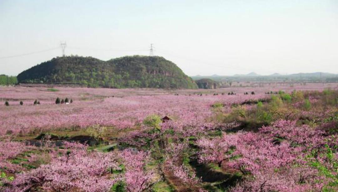 李商隐这首《落花》写得很是伤感，肠断未忍扫，眼穿仍欲归