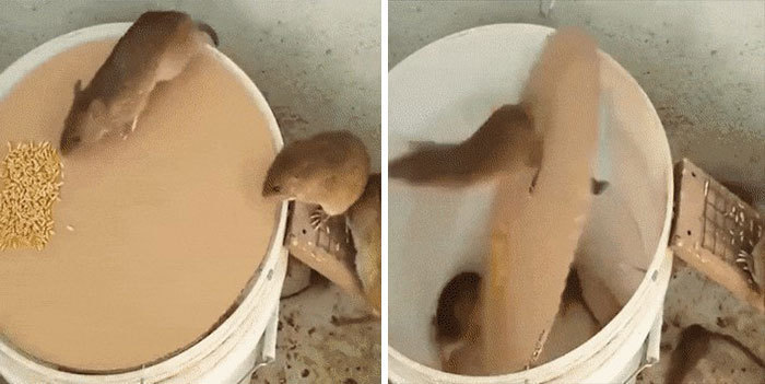 游泳池$盘点那些反人类的奇葩设计,每一个都是人类智慧的结晶