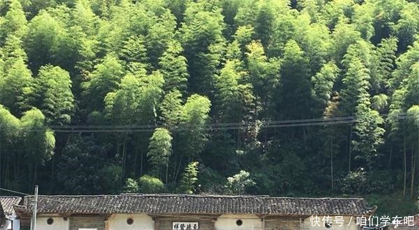 判刑|红军此役失利政委参谋长撤职判刑，代师长受处分，师长成开国少将