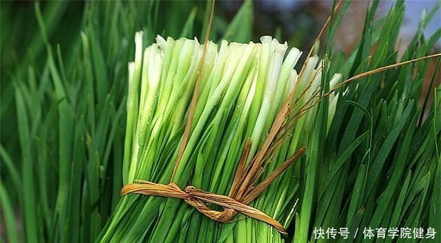 如何种植韭菜,您都知道吗浅谈韭菜的种植方法!