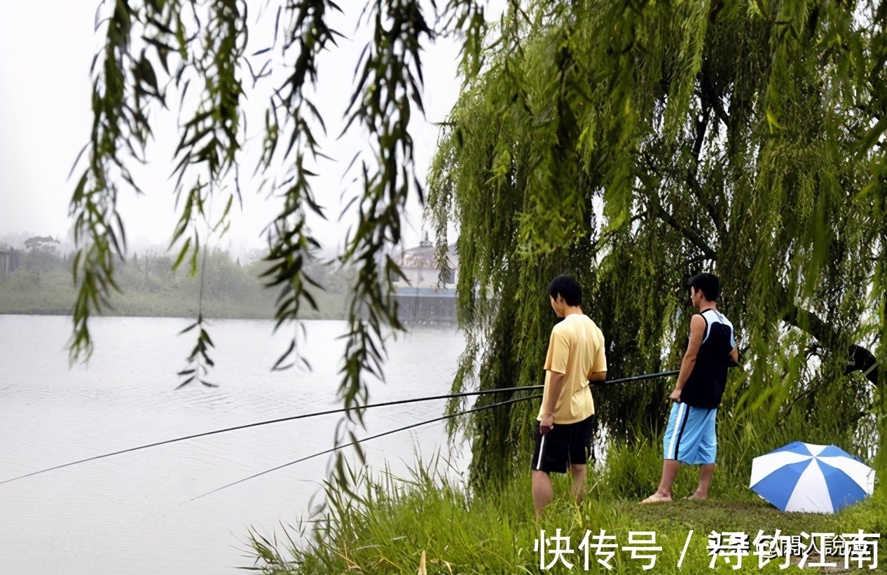 鱼儿|秋天的鱼都有贪食的弱点,如果你钓不上来,不妨来看看是哪里错了