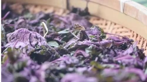 功效|用对紫苏，不仅散寒，还有意想不到的功效