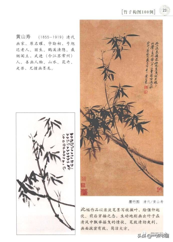 奇石！竹子构图100例（1）