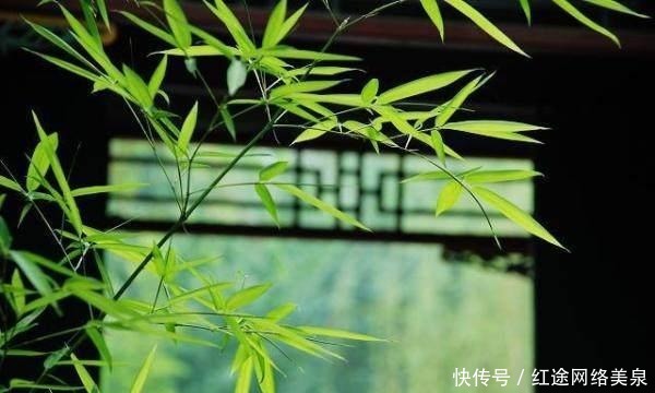 红楼梦：林黛玉为什么住潇湘馆？这里收留了她，又“埋葬”了她