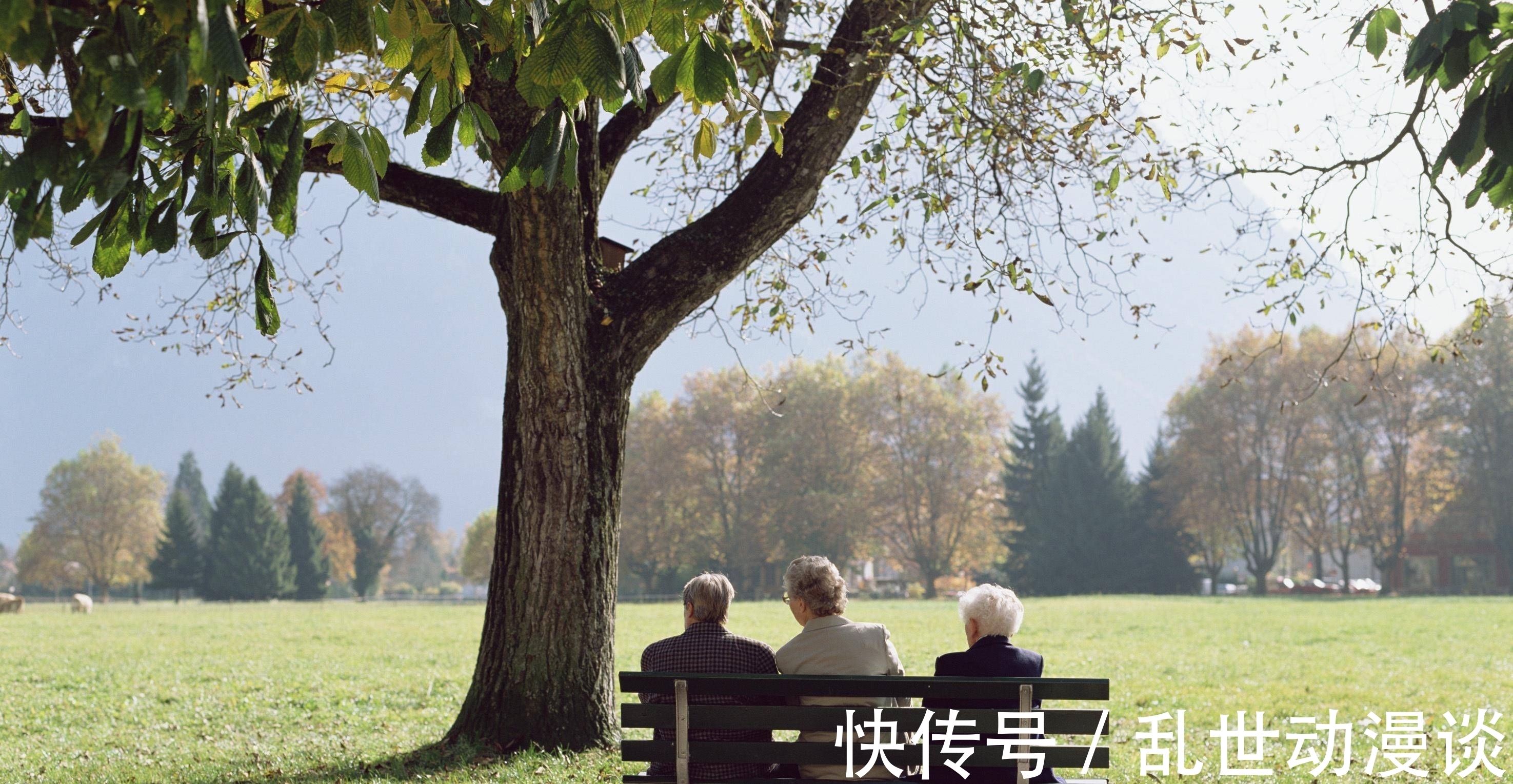 觀念@“晚年有福,征兆突出”:一個人晚年最好的歸宿,是看透這一點