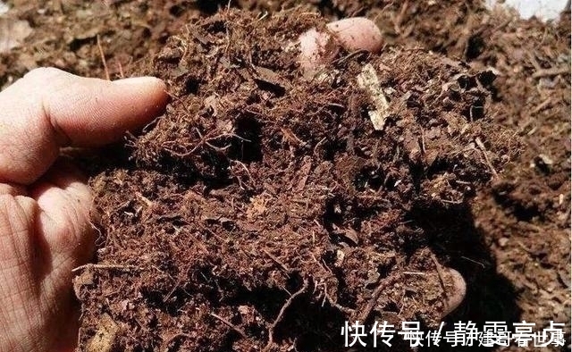 最不适合养花的几种土壤，千万不要用，否则黄叶烂根养不活