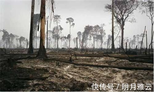 房价|房子和车子已成过去，在未来10年里，这“两样”东西很重要