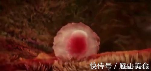 宝宝|怀孕前3个月,胎宝宝都在干什么?原来着床后这么忙,孕妈要了解