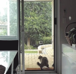 |搞笑GIF:说出来你可能不信 我今天被一个小女孩骗了