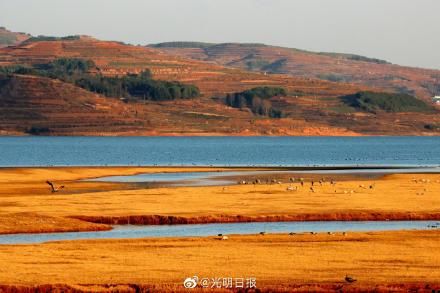 爱鸟护鸟|念湖如何成为鸟之乐园