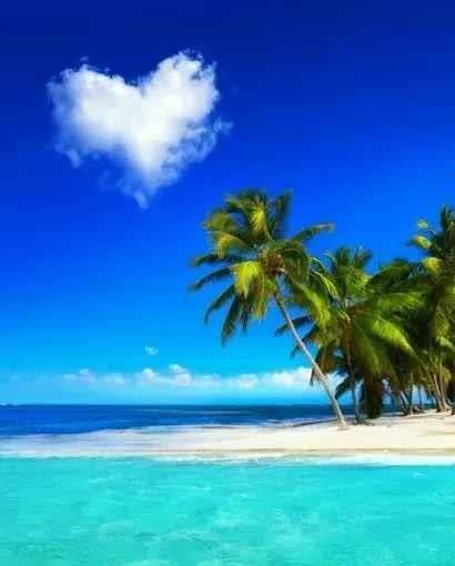 生命|宁和自律,清欢浅喜,生命真谛